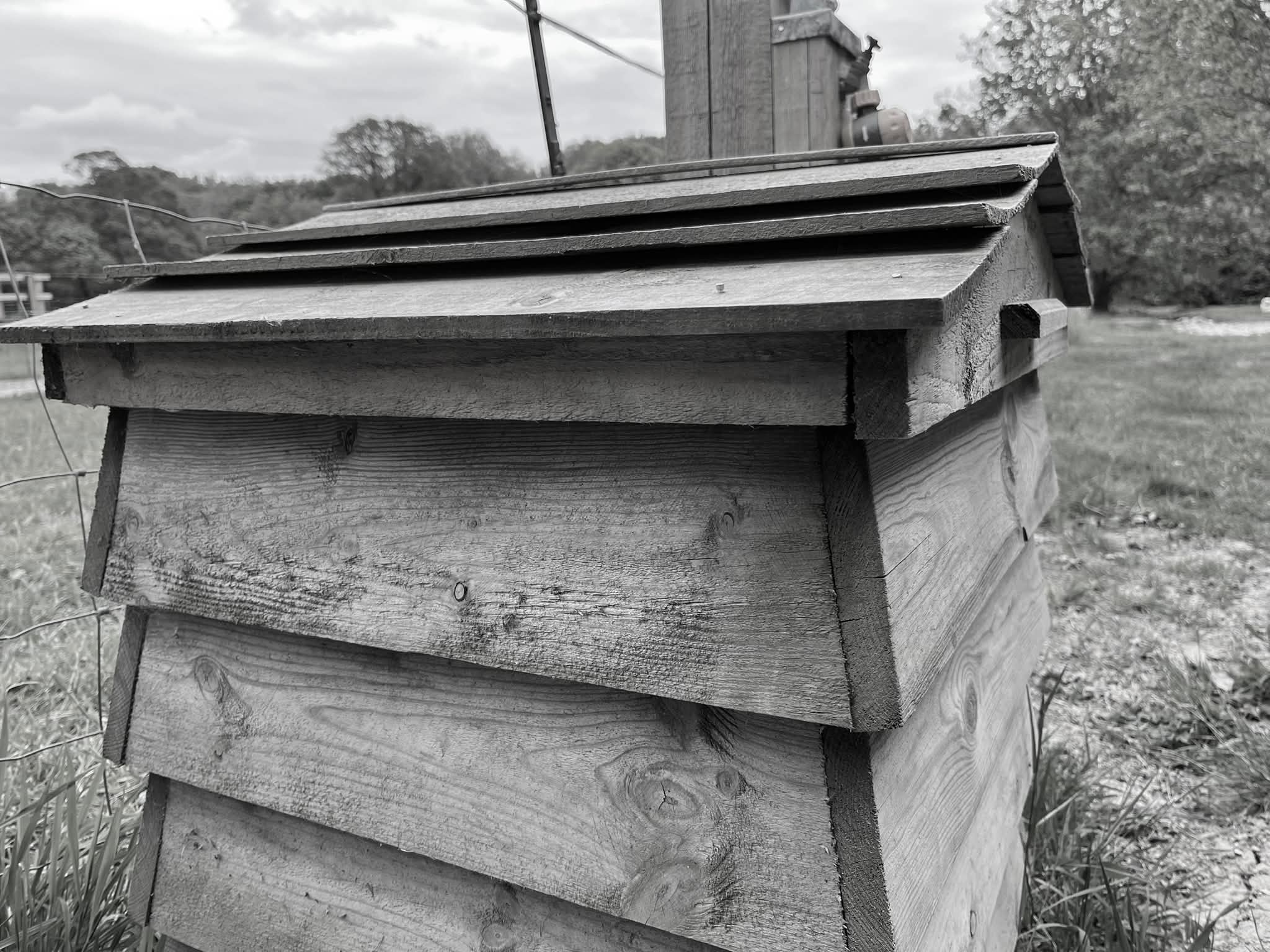 Finished Bee Tidy hive construction detail with clean timber joinery