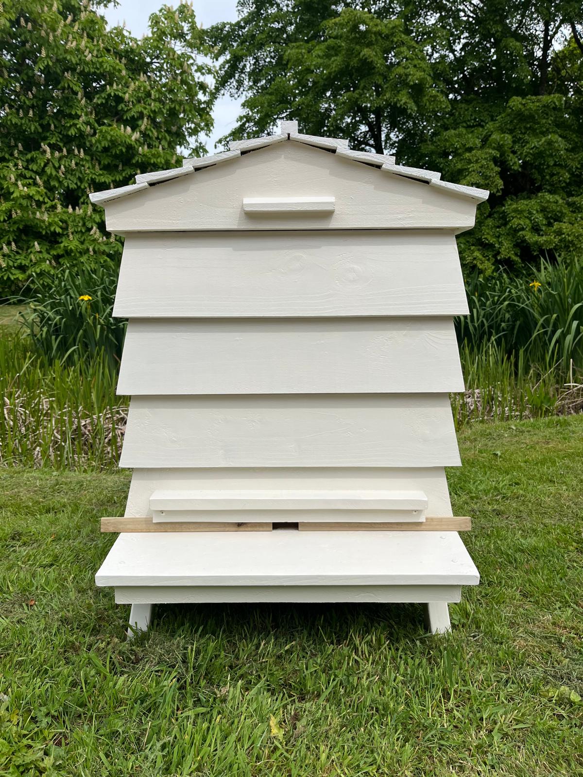 Custom Bee Tidy hive showing elevated proportions and handmade timber detail