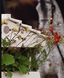 Beehive Planter inspired by the classic Bee Tidy timber hive form
